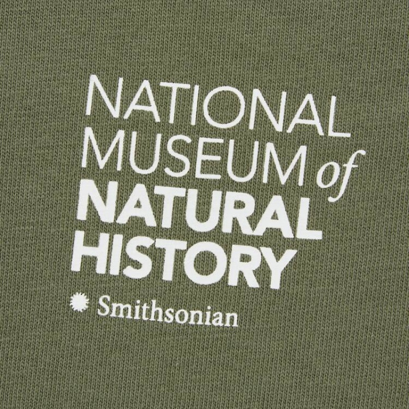 Dětské Tričko Uniqlo The Smithsonian Ut Grafická Olivy Zelené | QDCOABJ-23