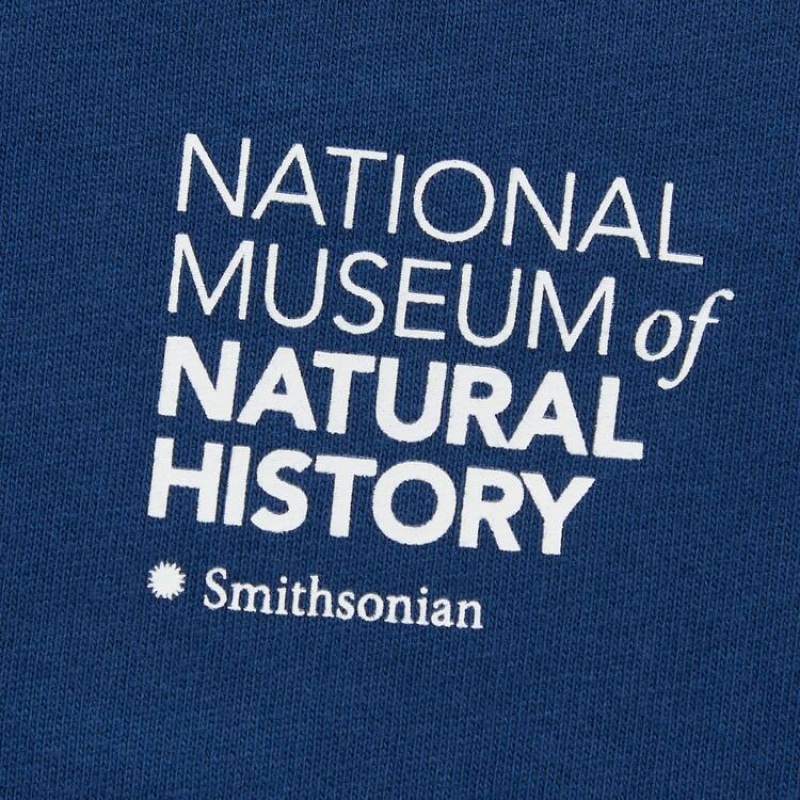 Dětské Tričko Uniqlo The Smithsonian Ut Grafická Blankyt | NFLWMBH-13