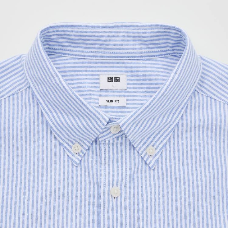 Pánské Košile Uniqlo Slim Fit Pruhovaný Oxford (Button-down Collar) Blankyt | ZKFMVTD-92